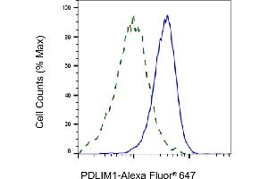 Validation of PDLIM1 knockdown using flow cytometry.