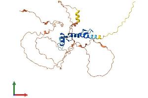 Protein Structure (PS) image for Early Growth Response 3 (EGR3) (AA 1-387) protein (His tag) (ABIN7563260)