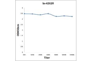 0. (TRIB2 antibody  (AA 151-250))