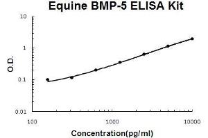 Horse equine BMP-5 PicoKine ELISA Kit standard curve (BMP5 ELISA Kit)