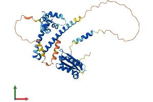 AlphaFold protein structure predicition of Human Recombinant NECAB2 Protein, UniprotID Q7Z6G3