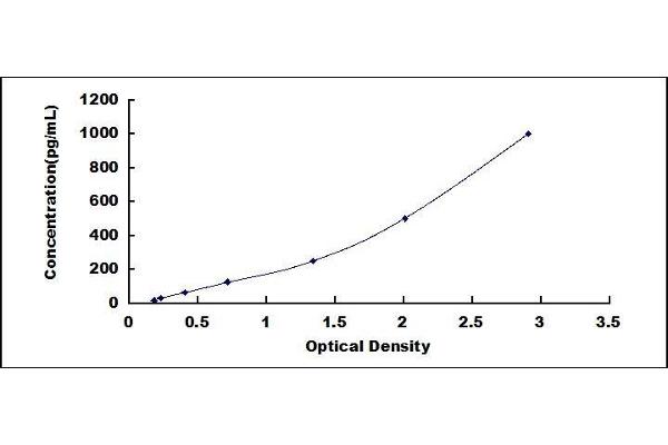C3a ELISA Kit