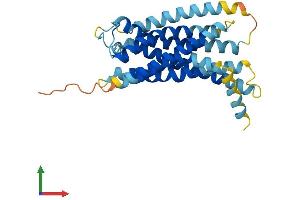 Protein Structure (PS) image for G Protein-Coupled Receptor 141 (GPR141) (AA 1-305) protein (His tag) (ABIN7558278)