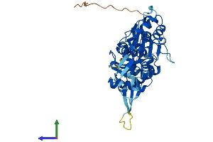 AlphaFold protein structure predicition of Mouse Recombinant Actl9 Protein, UniprotID Q8CG27 (ACTL9 Protein (AA 1-415) (His tag))