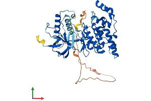 AlphaFold protein structure predicition of Human Recombinant MAPK8 Protein, UniprotID P45983 (JNK Protein (AA 1-427) (His tag))