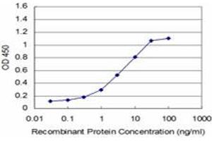 Detection limit for recombinant GST tagged MCM3 is approximately 0. (MCM3 antibody  (AA 699-808))