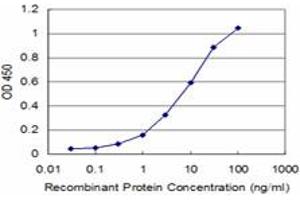 Detection limit for recombinant GST tagged PIK3CA is approximately 1ng/ml as a capture antibody. (PIK3CA antibody  (AA 959-1068))