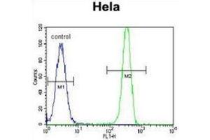 Flow cytometric analysis of Hela cells (right histogram) compared to a negative control cell (left histogram) using MSH2 Antibody , followed by FITC-conjugated goat-anti-rabbit secondary antibodies.