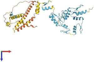 Protein Structure (PS) image for Zinc Finger Protein 789 (ZNF789) (AA 1-425) protein (His tag) (ABIN7545498)