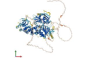 Protein Structure (PS) image for DNA Helicase B (HELB) (AA 1-1074) protein (His tag) (ABIN7564057)
