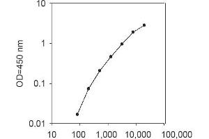 ELISA image for Interleukin 37 (IL37) ELISA Kit (ABIN4883346) (IL-37 ELISA Kit)