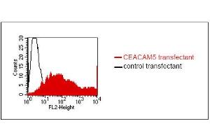 FACS analysis of BOSC23 cells using 26/3/13. (CEACAM5 antibody)