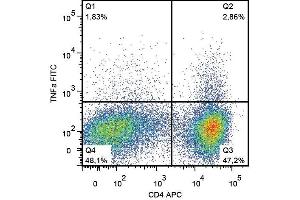 Intracellular staining of CD3-CD28-stimulated buffy coat cells with anti-TNF alpha (MAb11) FITC. (TNF alpha antibody  (FITC))