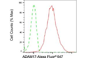 Flow cytometric analysis of ADAM17 expression in C2C12 cells using ADAM17 antibody (ABIN7797502), 1:2,000).