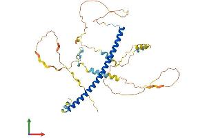 AlphaFold protein structure predicition of Mouse Recombinant Cebpa Protein, UniprotID P53566 (CEBPA Protein (AA 1-359) (His tag))
