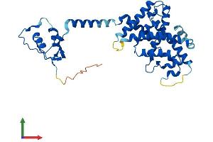 AlphaFold protein structure predicition of Mouse Recombinant Nr1i3 Protein, UniprotID O35627