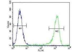 MLH1 antibody flow cytometric analysis of K562 cells (green) compared to a negative control (blue). (MLH1 antibody  (AA 452-480))