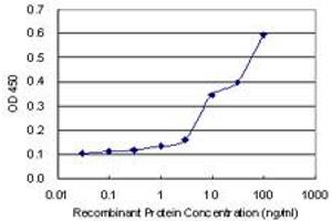 Detection limit for recombinant GST tagged STAT4 is 0. (STAT4 antibody  (AA 1-748))