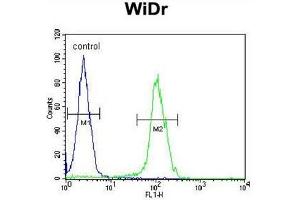 BEX1 Antibody (Center) flow cytometric analysis of WiDr cells (right histogram) compared to a negative control cell (left histogram).