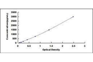 Slow Skeletal Troponin I (TNNI1) ELISA Kit