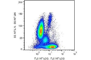 Intracellular staining of human peripheral blood with anti-Bcl2 (Bcl-2/100) APC. (Bcl-2 antibody  (AA 41-54) (APC))