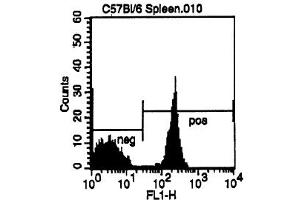 Cell Source: CD3e Positive Spleen Cells Percentage of cells stained above control: 52. (CD4 antibody  (FITC))