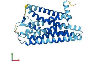 AlphaFold protein structure predicition of Human Recombinant OR51B4 Protein, UniprotID Q9Y5P0