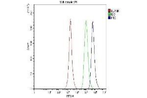 Flow Cytometry analysis of A431 cells using anti-FTO antibody (ABIN7601059).