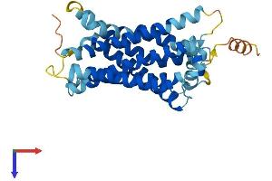 AlphaFold protein structure predicition of Mouse Recombinant Mrgpra8 Protein, UniprotID Q91ZC4 (Mrgpra8 Protein (AA 1-305) (His tag))