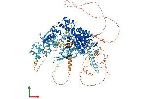 Protein Structure (PS) image for DNA Helicase B (HELB) (AA 1-1087) protein (His tag) (ABIN7554100)