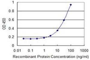 Detection limit for recombinant GST tagged RAB32 is 0. (RAB32 antibody  (AA 136-225))