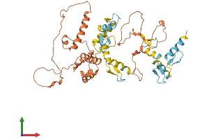 AlphaFold protein structure predicition of Human Recombinant ZNF597 Protein, UniprotID Q96LX8