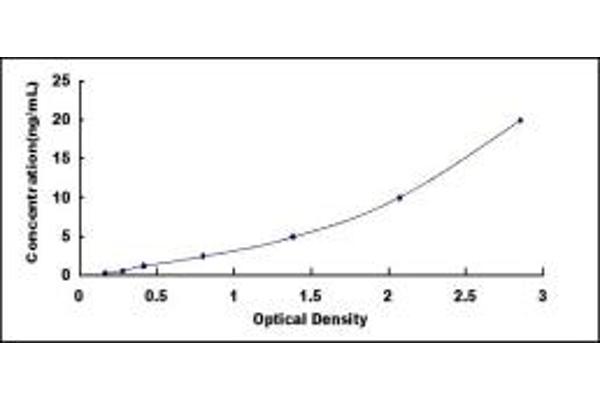 GJB6 ELISA Kit