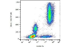 Surface staining of human peripheral blood cells with anti-human CD24 (SN3) PE. (CD24 antibody  (PE))