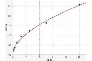 Growth Differentiation Factor 9 (GDF9) ELISA Kit
