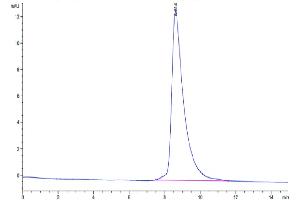 The purity of Mouse MXRA8 is greater than 95 % as determined by SEC-HPLC. (MXRA8 Protein (AA 20-340) (His tag))