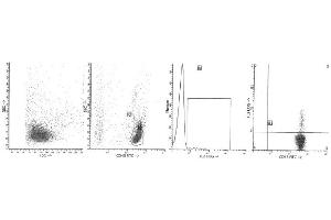 Image no. 1 for anti-Interleukin 2 (IL2) antibody (PE) (ABIN1107823) (IL-2 antibody  (PE))