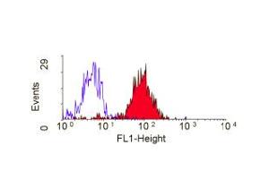 ABIN119475 staining of human peripheral blood monocytes. (CD36 antibody)