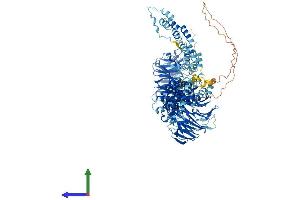 Protein Structure (PS) image for Coatomer Protein Complex, Subunit alpha (COPA) (AA 1-1224) protein (His tag) (ABIN7564591)