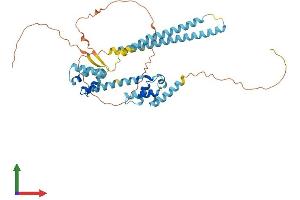 Protein Structure (PS) image for Activity-Regulated Cytoskeleton-Associated Protein (Arc) (AA 1-396) protein (His tag) (ABIN7552264)