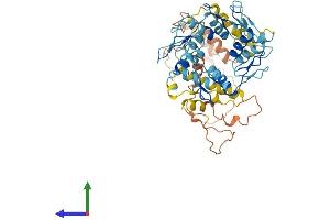AlphaFold protein structure predicition of Human Recombinant ZNF695 Protein, UniprotID Q8IW36