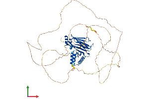 Protein Structure (PS) image for Protein AF-9 (MLLT3) (AA 1-568) protein (His tag) (ABIN7552008)