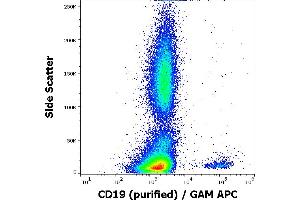 Flow cytometry surface staining pattern of human peripheral whole blood stained using anti-human CD19 (LT19) purified antibody (concentration in sample 0,33 μg/mL, GAM APC). (CD19 antibody)