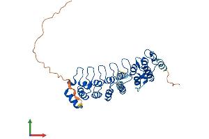 Protein Structure (PS) image for Nuclear Factor of kappa Light Polypeptide Gene Enhancer in B-Cells Inhibitor, delta (NFKBID) (AA 1-327) protein (His tag) (ABIN7557009)