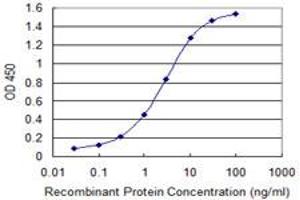 Detection limit for recombinant GST tagged GMPS is 0. (GMP Synthase antibody  (AA 108-215))