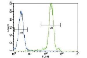 Flow Cytometry (FACS) image for anti-Lipoprotein Lipase (LPL) (AA 300-327) antibody (ABIN3031635)