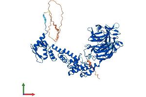 AlphaFold protein structure predicition of Mouse Recombinant Klhl13 Protein, UniprotID Q80TF4 (KLHL13 Protein (AA 1-654) (His tag))