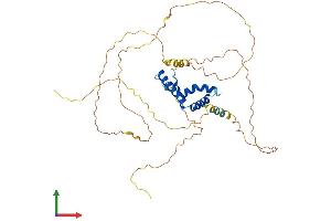 AlphaFold protein structure predicition of Human Recombinant TCF7 Protein, UniprotID P36402