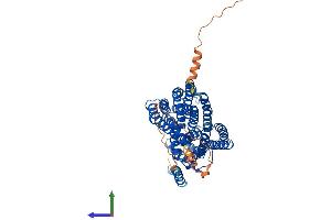 AlphaFold protein structure predicition of Mouse Recombinant Slc47a1 Protein, UniprotID Q8K0H1 (SLC47A1 Protein (AA 1-567) (His tag))