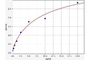 Typical standard curve (EIF6 ELISA Kit)